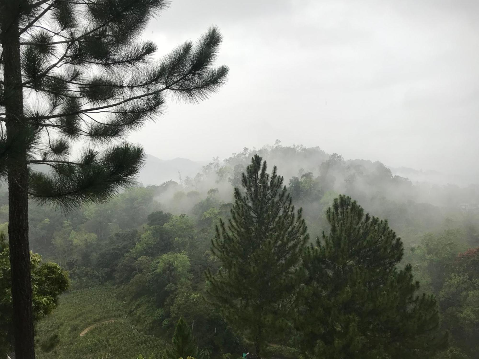 Turn View Resort เอลลา ภายนอก รูปภาพ